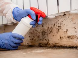 Best Asbestos and Lead Testing During Mold Inspection  in Hobart, IN